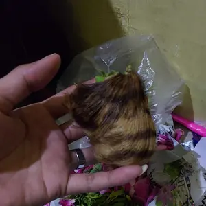 1 PASANG- Masker Ninja Hitam Polos / Masker Ninja Balaclava Full / Masker Penutup Muka Murah / Masker Berkendara