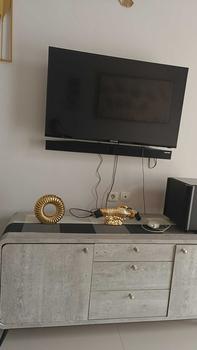Product Review of COD Ornamen Arwana Rumah TV Anggur Lemari Rak Buku Dekorasi Kreatif Ruang Tamu Kantor Toko Pembukaan Kerajinan Hadiah emas Keramik from t** v**a 0