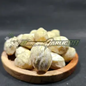 Kemiri bulat utuh kualitas super harga murah kering