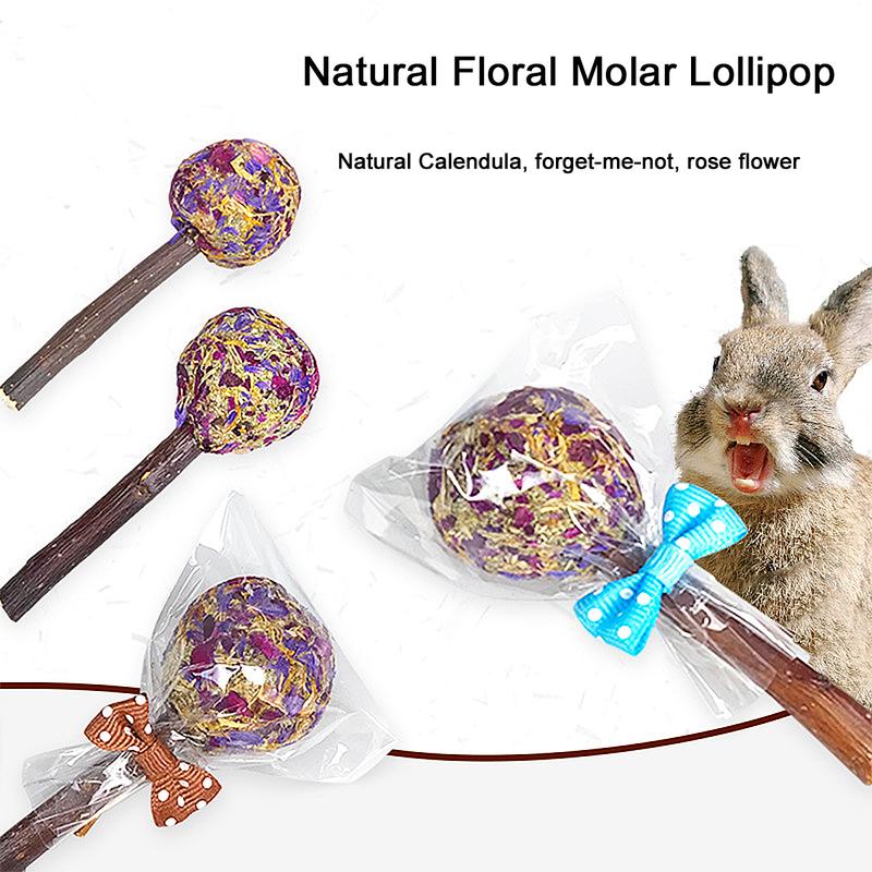 14Pcs Pet Hamster Rabbit Toy Tooth Cleaning Toy Pet Bite Stick Hamster Molar Set Rabbit Molar Stick Small Animal Chew Toys  Durable Pet Accessories 7