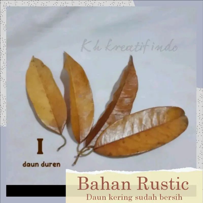 Bahan prakarya kerajinan dan kesenian / Rustic Daun kering bersih / seni keindahan / keterampilan / rustic kesenian yang indah / bahan dasar daun kering Hiasan 8