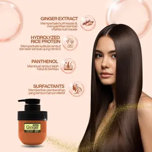 Sinko Organic Ginger Shampoo｜Formula Salon Jakarta, anti-rontok & menebalkan, jaga kulit kepala segar, rambut lebih ringan, bersih & tampak bervolume