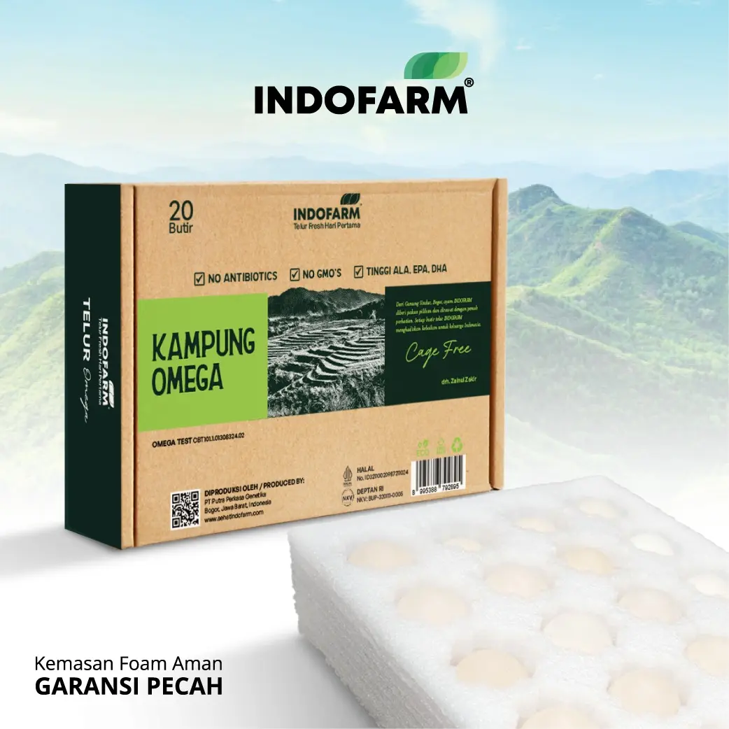 Telur Ayam Kampung Asli - Telur Mengandung Omega 3