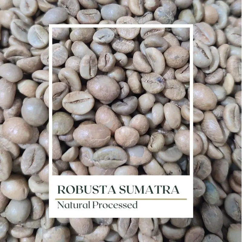 Green Bean Robusta Sumatra - Fine Grade -  Biji Besar - Natural Processed - 1kg 0