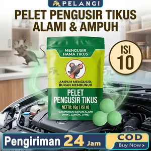 10Pcs/Set Kamper Tikus Kecoa Kapur Barus Super Ampuh Kamper Pengusir Tikus Kecoa Kapur Barus Anti Serangga