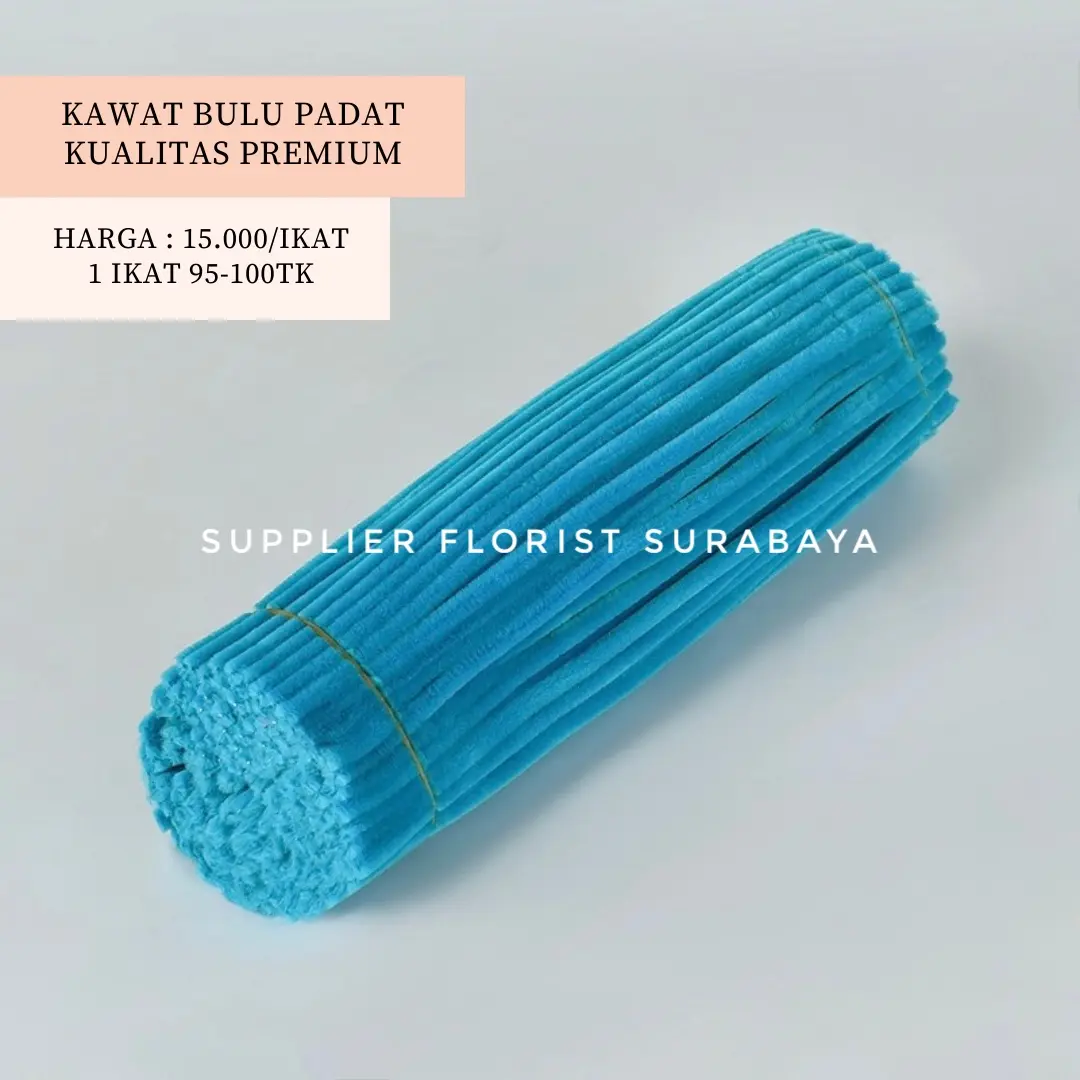 BIRU SEDANG1 (PADAT)