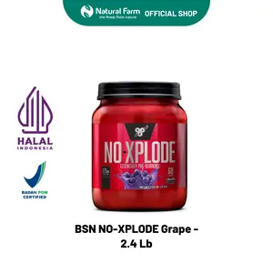 BSN - NO XPLODE (2.45Lb) Grape - Sport Nutrition