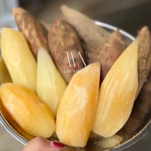 Ubi yakon ukuran kecil bergaransi