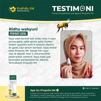 Gambar Propolis SM Obat Keputihan Gatal & Bau, Miss v Gatal, Miss v Lecet, Infeksi Jamur V4g1n4, Kutil Kelamin, Benjolan di Miss v - Isi 6ml dari Apotek Herbal Kota Administrasi Jakarta Barat 3 Tokopedia