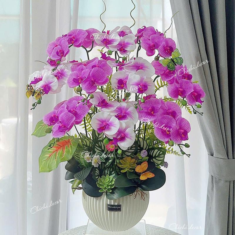 CẮM SẴN_CẮM 1 HƯỚNG Combo 10 cành lan hồ điệp cao su 1 cành 5 bông + 1 CHẬU NHỰA CỨNG cao cấp chậu cao 75cm tán ngang 60cm decor trang trí nhà cửa