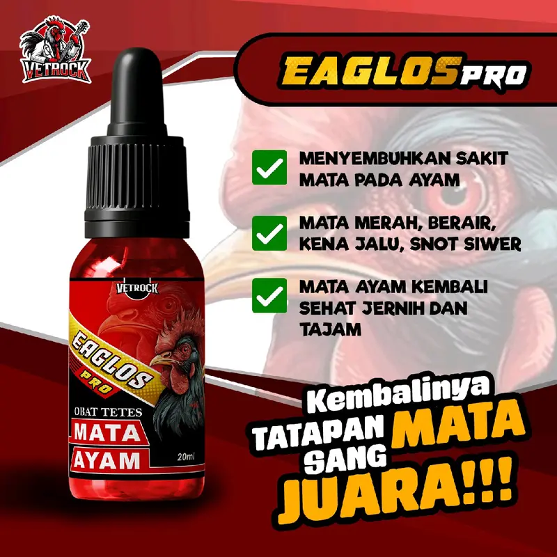 EAGLOS PRO - OBAT MATA AYAM MERAH, BERAIR, TERKENA JALU, SNOT SIWER, MATA AYAM KEMBALI SEHAT DAN TAJAM 1