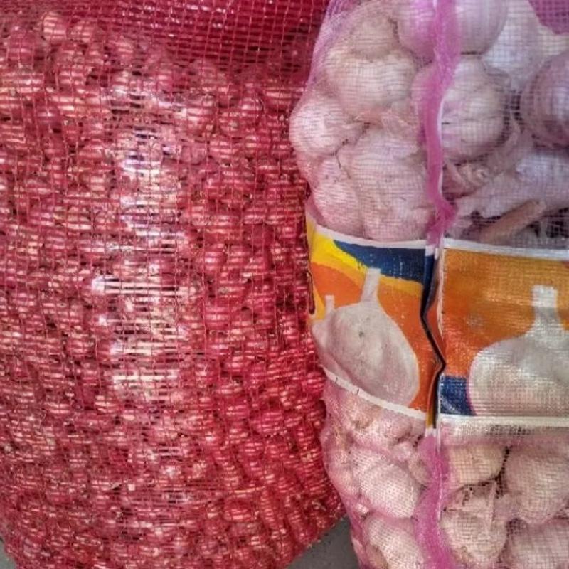 Bawang merah1 kg dan bawang putih 1kg mix umkm Food Pedas Goreng Bahan Masakan Garlic 1