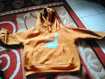 Product Review of Hoodie Anak Cowok Cewek Dino Brontosaur Fashion from r** 0