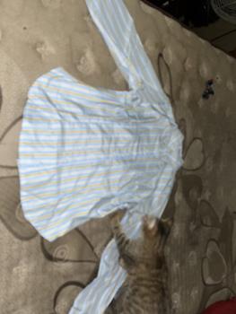 Product Review of Wispie Girl Boss Fitted Shirt | Kemeja kerja wanita fit garis stripe karet Lembut pink hijau biru from s**_ 3