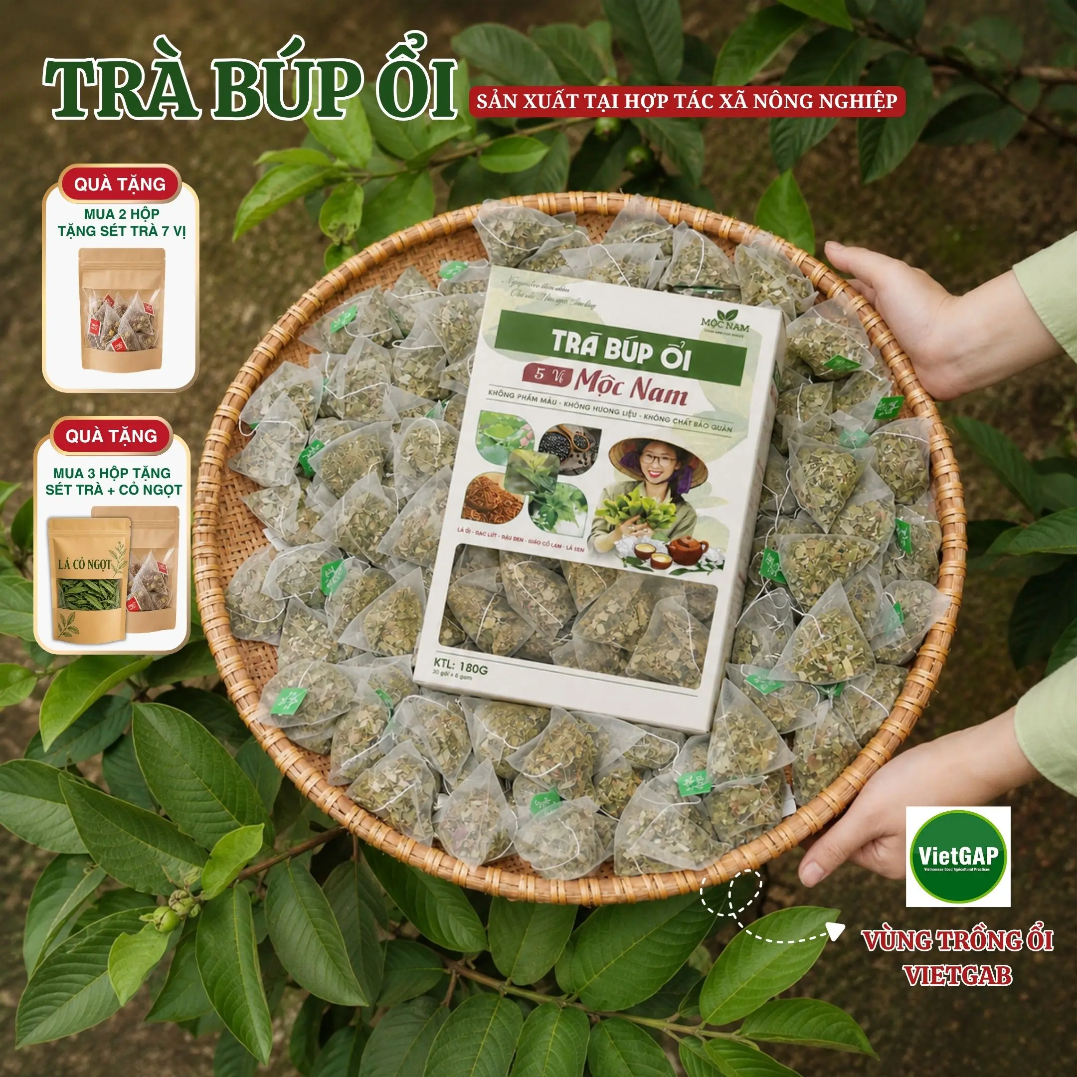 Trà Lá Ổi 5 Vị Thảo Mộc (Lá ổi, lá sen, gạo lứt, đậu đen, gỉao cổ lam ) Trà của Hợp Tác Xã Nông Nghiệp