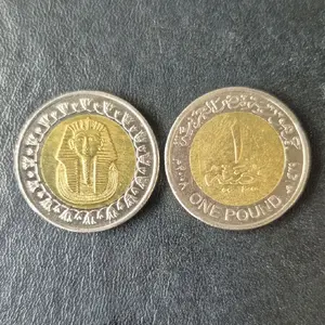 Koleksi Koin Bimetal 1 Pound (Mesir)