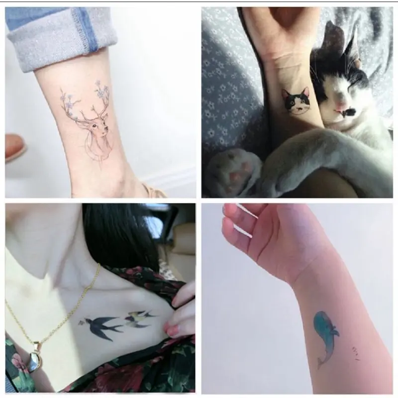 Grosir Termurah Tato Hewan Kucing burung Paus Rusa Aesthetic Lucu - Tatto Temporer Animal berwarna  Tato temporary Stiker Tato Halal Dewasa Dreamcatcher 1