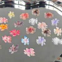Gambar 6 Sekat Kotak Bunga Lili Hiasan Kuku 3D Resin Es Kristal Ukir Lembut Jelly Motif Macan Tutul Warna Campur Sekitar 40Pcs Aksesoris Nail Art DIY - 6 Sekat/Kotak dari Shinycat Kota Tangerang 5 Tokopedia