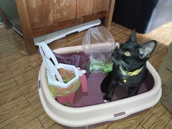Product Review of Sekop Litter Box Kucing Serokan Pasir Poop Pet Cat Scoop Bonus Dispenser Kantong Plastik/ Kantong Kantong Kotoran/Sekop Litter Box Kucing Serokan Pasir Poop Pet Cat Scoop Bonus Dispenser Kantong Plastik from U**n 2