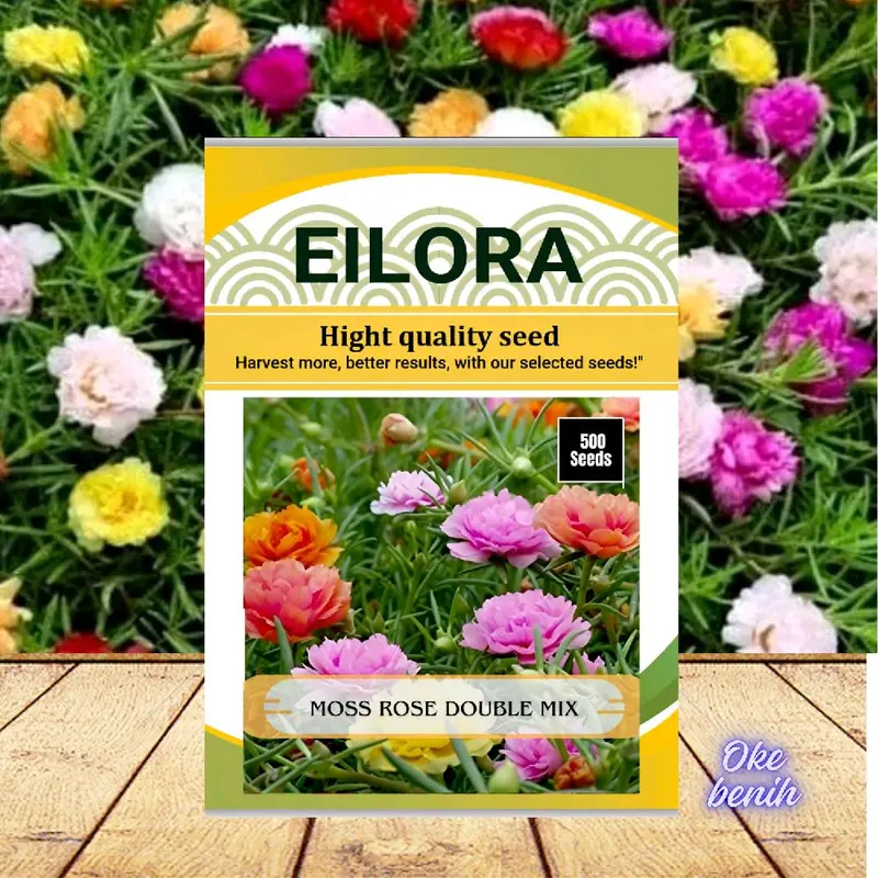 500 BUTIR BENIH BUNGA MOSSE ROSE PORTULACA IMPORT