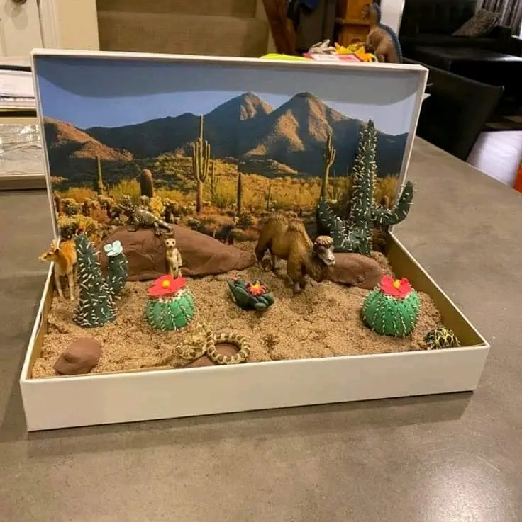 prakarya maket habitat diorama kebun binatang aquarium 30x30 4