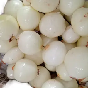 BBY TANPA KULIT 1 KG ( pemesanan khusus JABODETABEK )