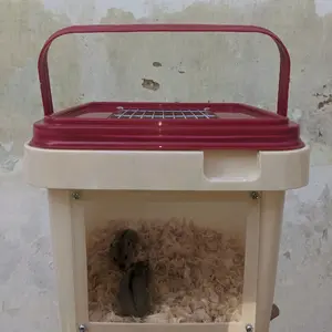 Kamdang Travel hamster dan reptil