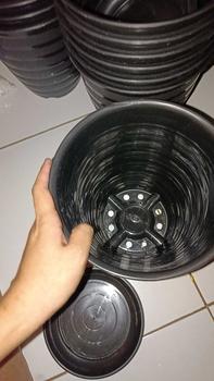Product Review of (1 pcs) 1 SET POT TIRUS UK 20 CM + TATAKAN (SEPAKET) from K** K** C**l C**l 1
