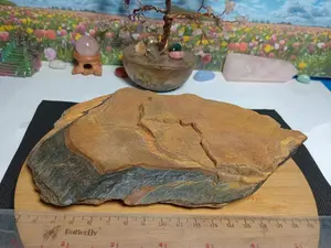 Batu Natural Rough Blue Tiger Eye (7)