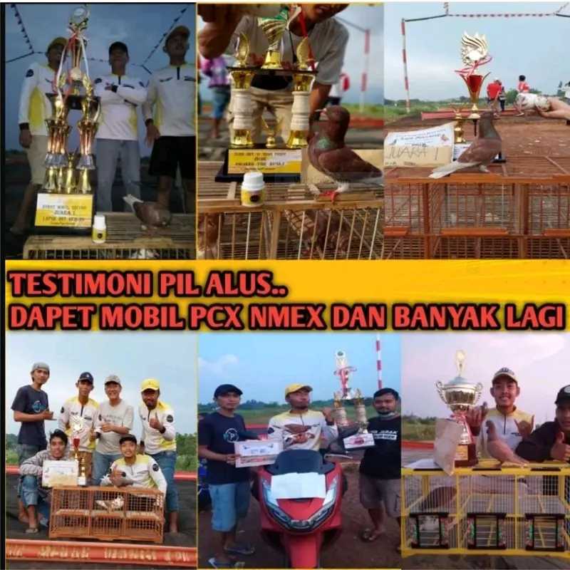 IDEAL PIL ALUS ISI 100 BUTIR KHUSUS MENGERAM 5