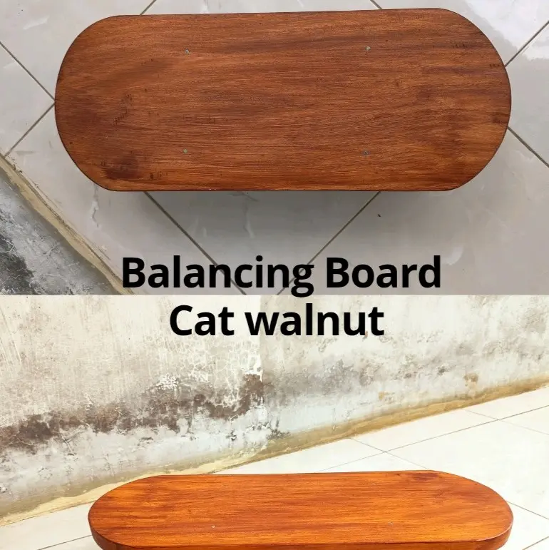 Papan Keseimbangan Anak Wodden Toys Balacing Board 3