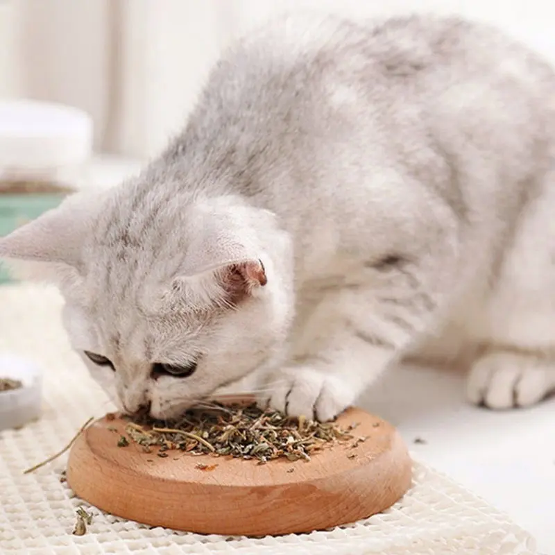 FOLOPETS Mainan Kucing Obat Catmint Penenang Serbuk Rumput Kering Cat nip Mint Stres Murah 6