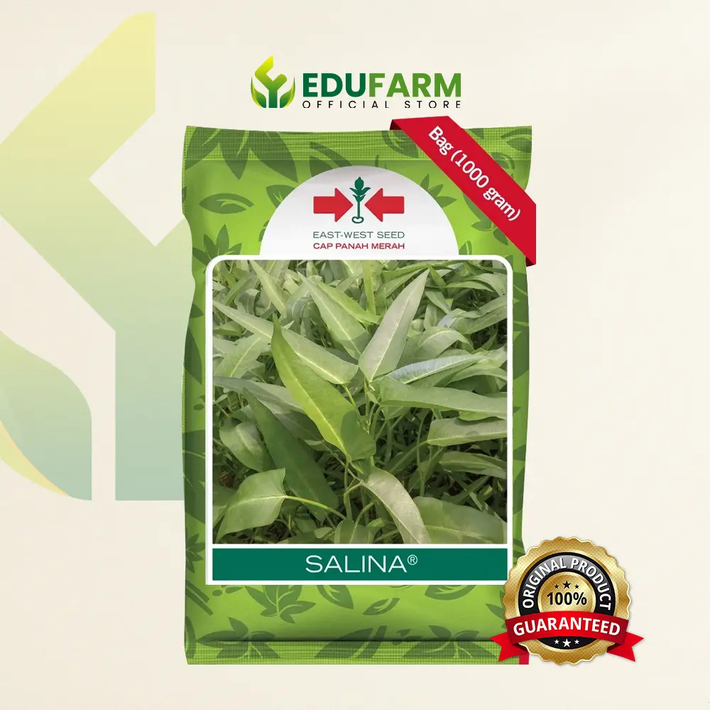Cap Panah Merah - Benih Kangkung Salina