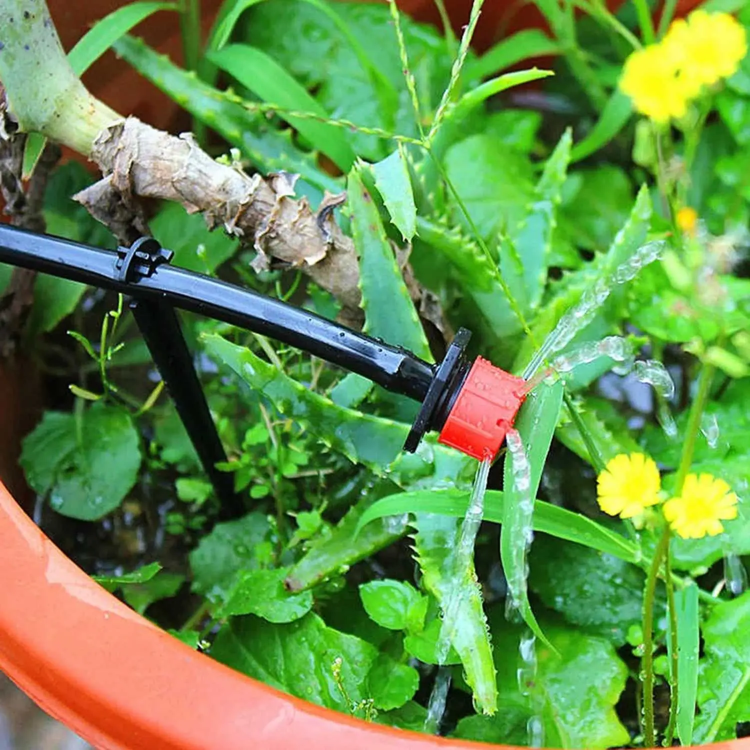 [ COD ] PENTA Dripper Irigasi 8 Hole Closable Watering Irrigation 100 PCS - P-8