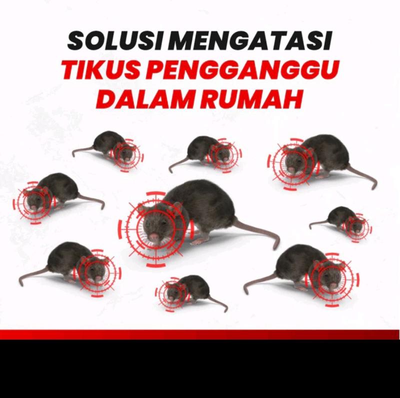 Product Introduction of Racun Tikus Pembasmi Tikus Original Dijamin Ampuh Mati Kering HARGA TERMURAH 50 GR 2
