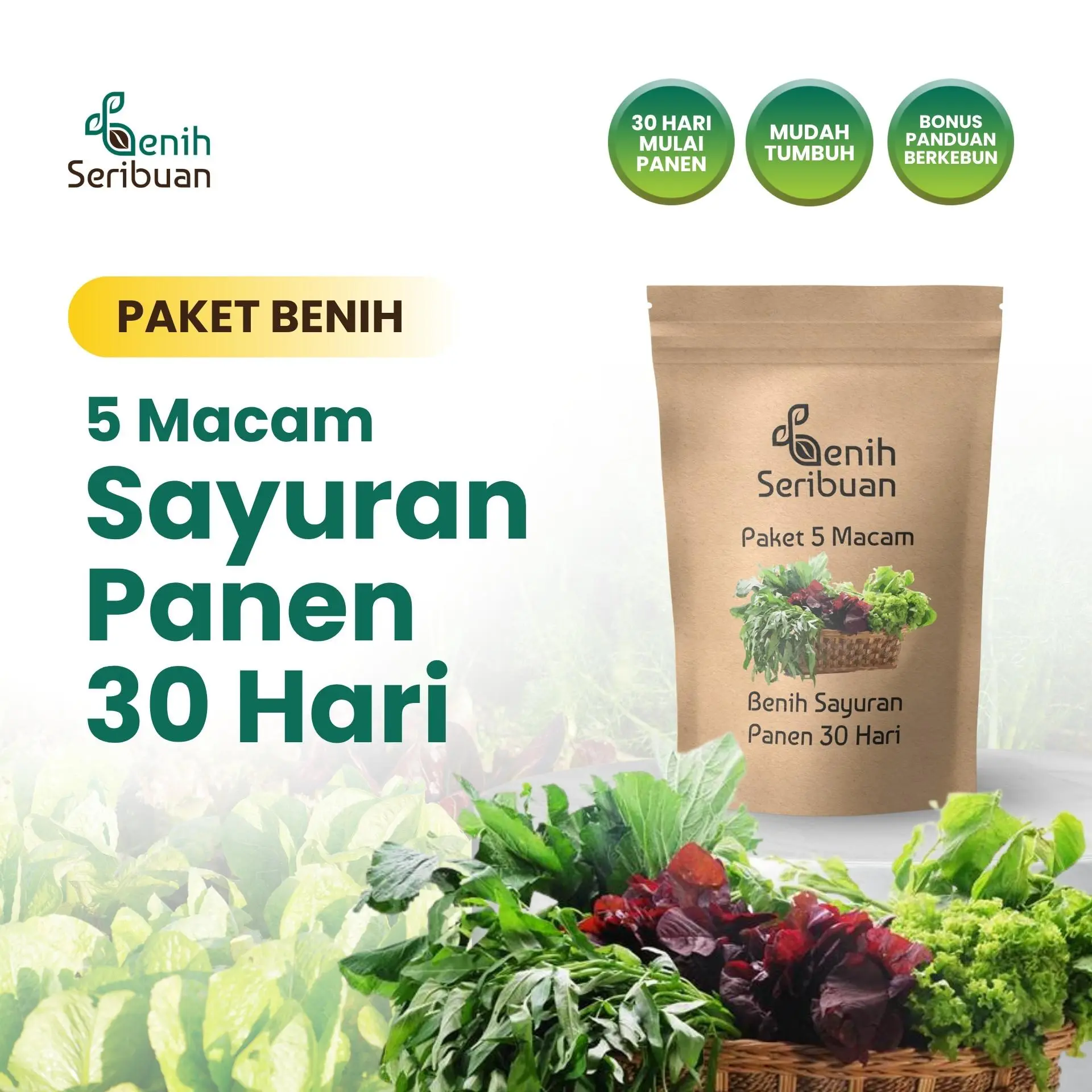 Paket 5 Macam Benih Sayuran Kangkung Pakcoy Selada Sawi dan Bayam