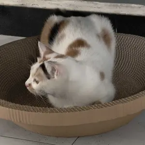 Papan Garuk Kucing Anjing Anabul Multifungsi M11 dengan Desain Bulat Cekung dan Tempat Istirahat/Tidur Kucing