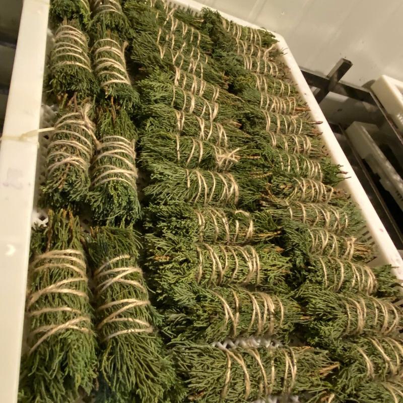 Trắc bách diệp sấy lạnh Xô thơm 150gr Nhà của Thời Thanh Xuân