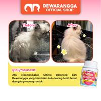 Gambar Vitamin Kucing Ultima Balanced Dewarangga Anti Jamur dan Rontok Kucing - 10 Kapsul dari Dewarangga Cattery Kab. Bogor 3 Tokopedia