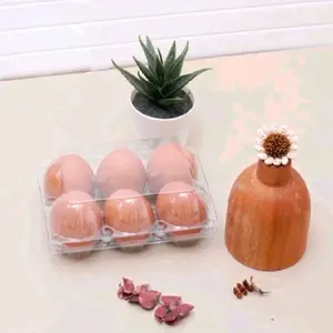 MIKA TELUR AYAM NEGERI 6 LUBANG SUDAH ADA PRNGUNCI LER 25 PCS