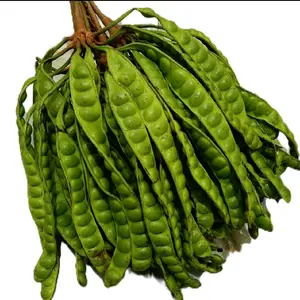 PETE UKURAN SEDANG ISI 10 PCS/ PETE SEGAR PILIHAN/ PETE TUA/ PETE WONOGIRI