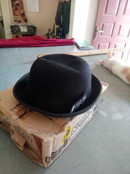 Product Review of Topi Fedora tipe Bowler Dewasa new edition Pria Wanita Warna Hitam Hat from R**i 0
