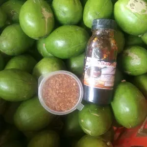 bumbu rujak petis ikan dan bangkok