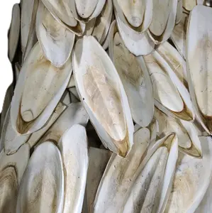 Asinan tulang sotong untuk gacorkan dan kalsium buat burung reptil size 15-16cm