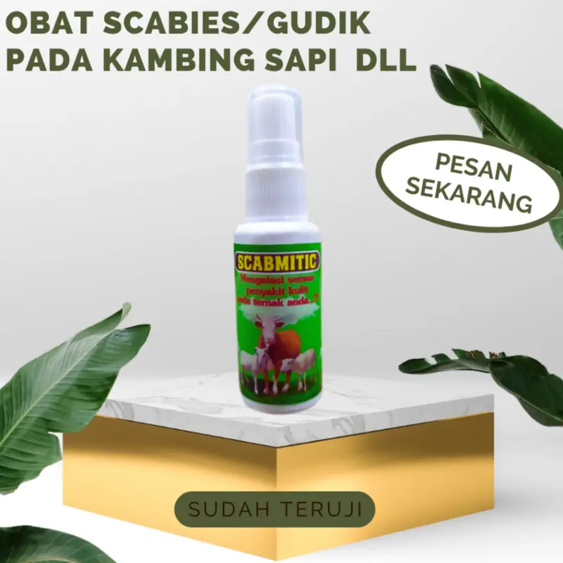 OBAT SCABIES GUDIK EKSIM GATAL KORENG SEMPROT HEWAN SAPI KAMBING DOMBA KUDA KERBAU 4