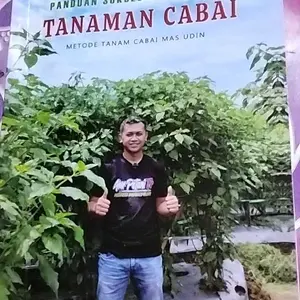 PANDUAN SUKSES BERBUDAYA TANAMAN CABAI SEGALA JENIS VARIETAS METODE TANAM CABAI MAS UDIN