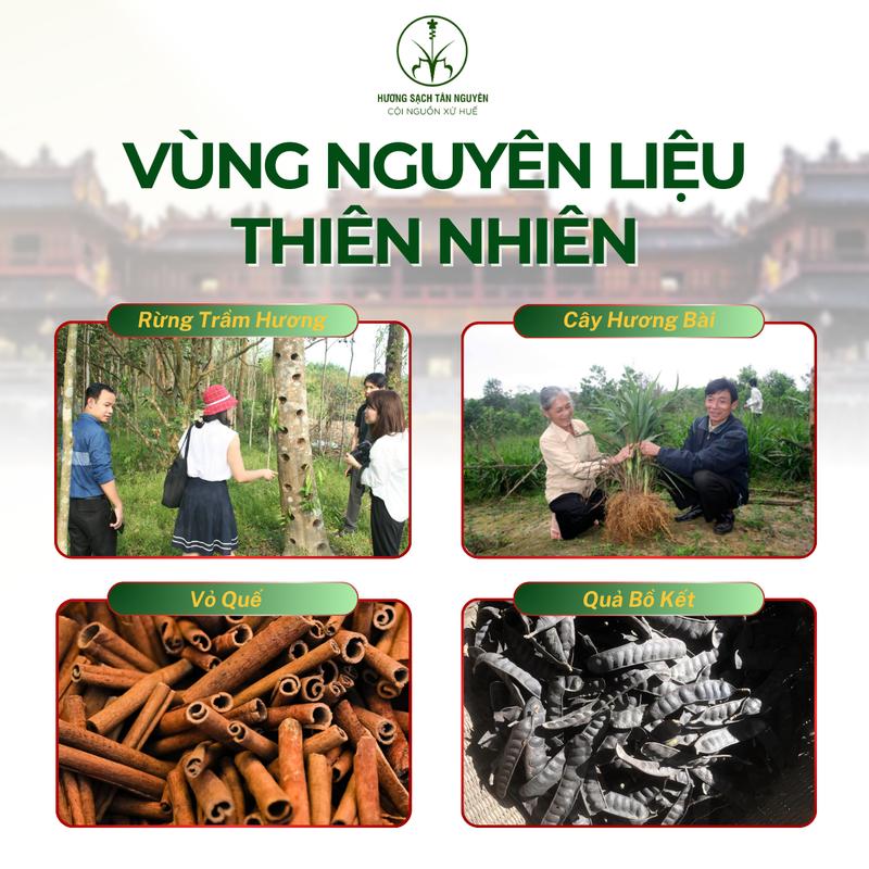 Product Introduction of Hương sạch Tân Nguyên, hương bài, nhang thơm được làm từ rễ cây hương bài hộp 45 viên dùng cho lư xông Dầu Thơm Phòng Dầu Thơm 6