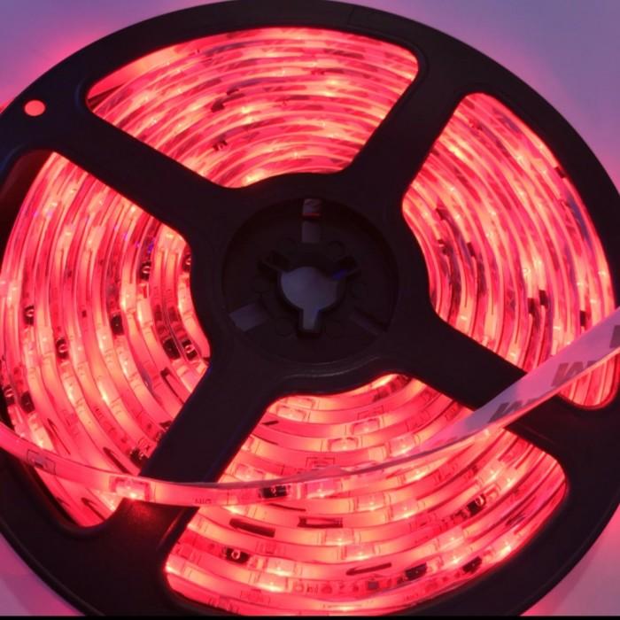 Led Strip Running RGB 5050 / IP 44 IC pintar - strip 5 meter - Shop ...