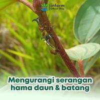 Gambar INFARM - Paket Pengusir Hama, Pestisida Nabati Organik Siap Pakai 500 ml dan Gunting Dahan Ampuh dari Infarm Kota Surabaya 5 Tokopedia
