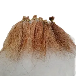 Subalan kepala reog/aksesoris kepala reog